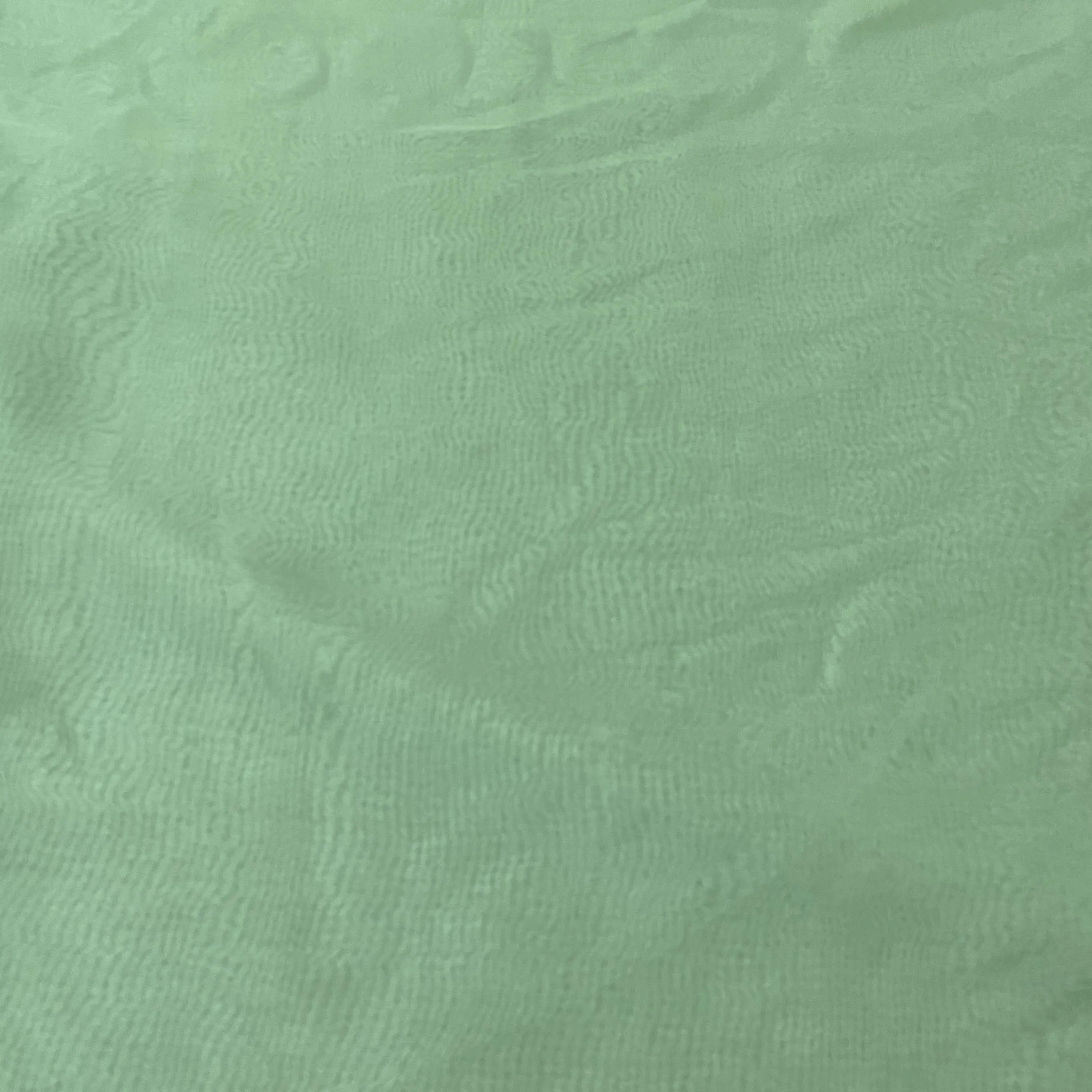 Exclusive Green Solid Organza Fabric